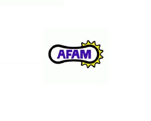 Pignone afam acciaio p520 - p520,